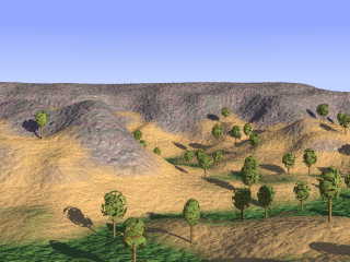 landscape